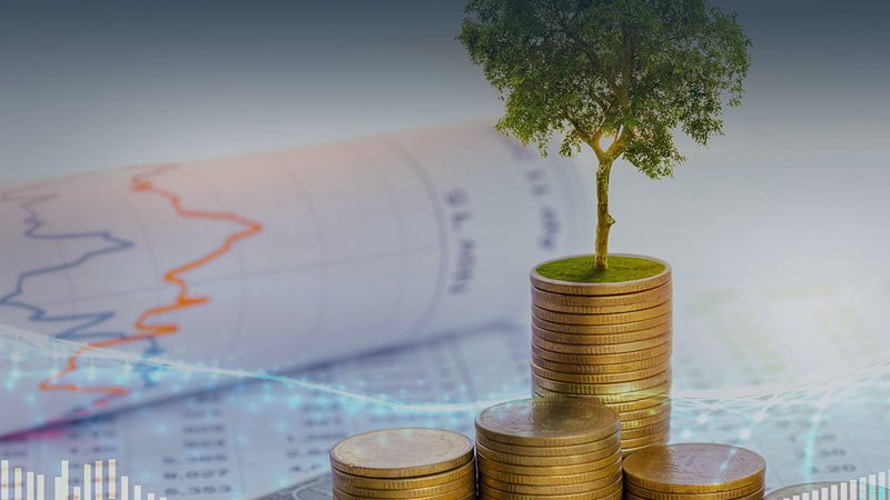 流程优化与精益咨询：适用场景的精准区分